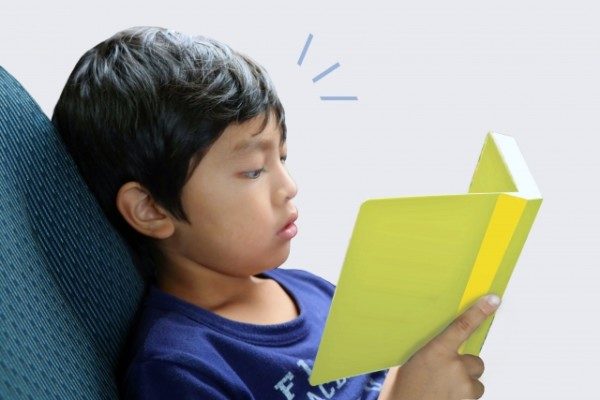 読解力がない原因は何ですか 小学生 中学生 高校生対象の個別指導塾メビウス 読解力がない原因は何ですか 小学生 中学生 高校生対象の個別指導塾メビウス