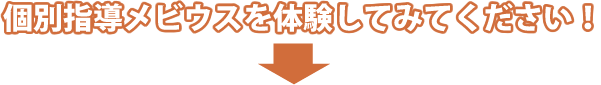 個別指導塾 メビウスを体験してみてください!